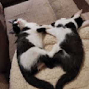 Meet your Posher, Claudia